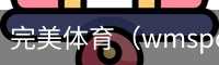 完美体育（wmsports)官方网站